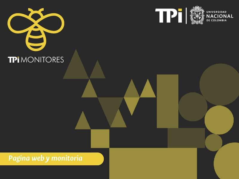 Sitio web TPi